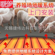 养殖场电热膜 仔猪电热板 石墨烯地暖 猪圈猪舍保温加热