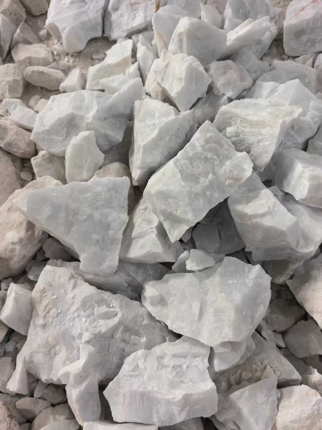 微信图片_2026-01-13_135716_626