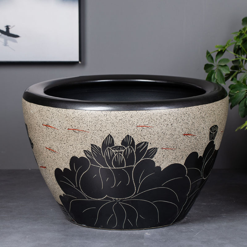 մɴ׹ŷڹɻ˯׹˾ͥԺڼˮ