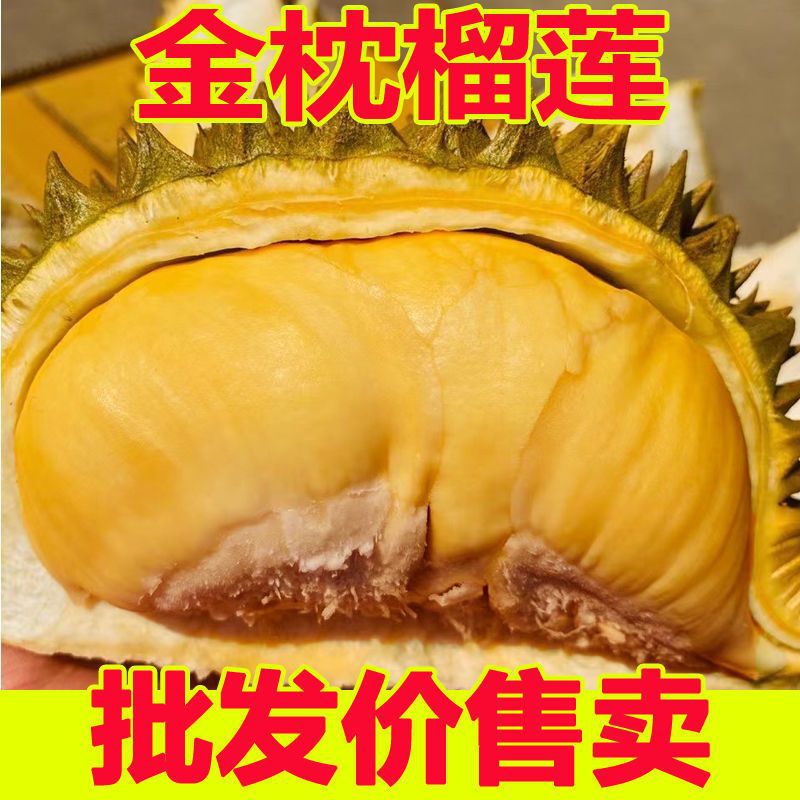 Durian wholesale Golden Pillow fresh fruit Slap Entire Full container Sanno Independent On behalf of