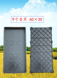 9�����P�����Pˮ�����ϙC��ƽ���бP��������P�Ӻ����C��Ӳ�P