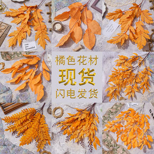 ��ɫϵ��c�û��ٻ�����Y���쾰�b��~�ľƵ�·���廨���滨���l