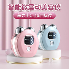 国境を越えた新しい振動美容器具、旅行用ポータブル温湿布充電式マッサージ器具、EMS微電流ダブルローラーマッサージ