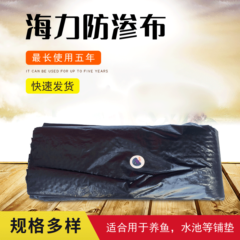 海力防渗膜160克2米鱼塘专用hdpe棚布抗老化水池膜防酸性PE土工膜