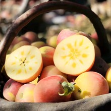 新疆阿克苏红旗坡冰糖心苹果5斤装9斤家庭装8斤礼盒装2025现摘