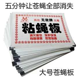 苍蝇贴强力粘苍蝇纸粘蝇板厨房饭店养殖场高效无味饵剂粘苍蝇贴