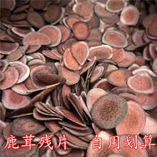东北长白山吉林鹿茸残片鹿角血片干货红粉片泡酒煲汤泡水打粉10克