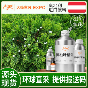 �Ȱ��~���� Thuya Leaf �W����ֱ�Ɇη�����ԭ�����l ����܇����