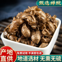 野生蝉蜕100g克蝉衣新货金蝉衣知了皮知了壳虫退蝉退壳中药材包邮