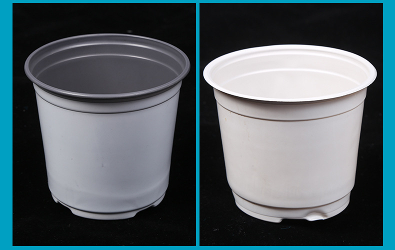 O1CN014WOZqQ1QDwEnTPLxD_!!2211