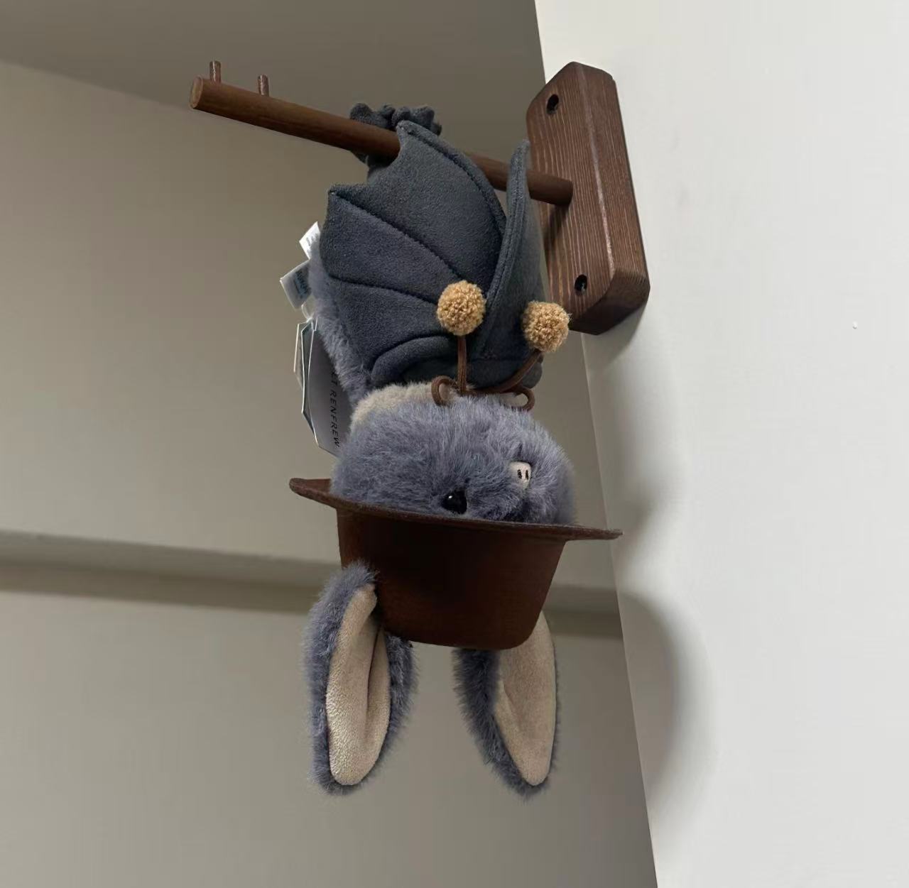 コレクション1;