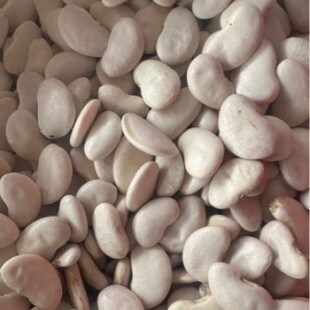 ���l���|���녶�,��ܿ��