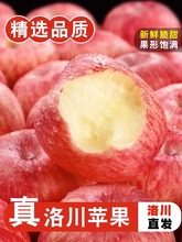 陝西紅富士蘋果10斤新鮮水果應當季脆甜丑萍果嘎啦冰糖心整箱包郵