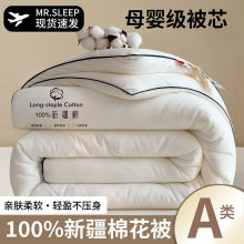 新疆棉花被春秋被子冬季加厚保暖纯棉花被芯单人宿舍冬被棉絮