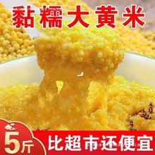 |S5 rҴSճSСװӴSճrװ]