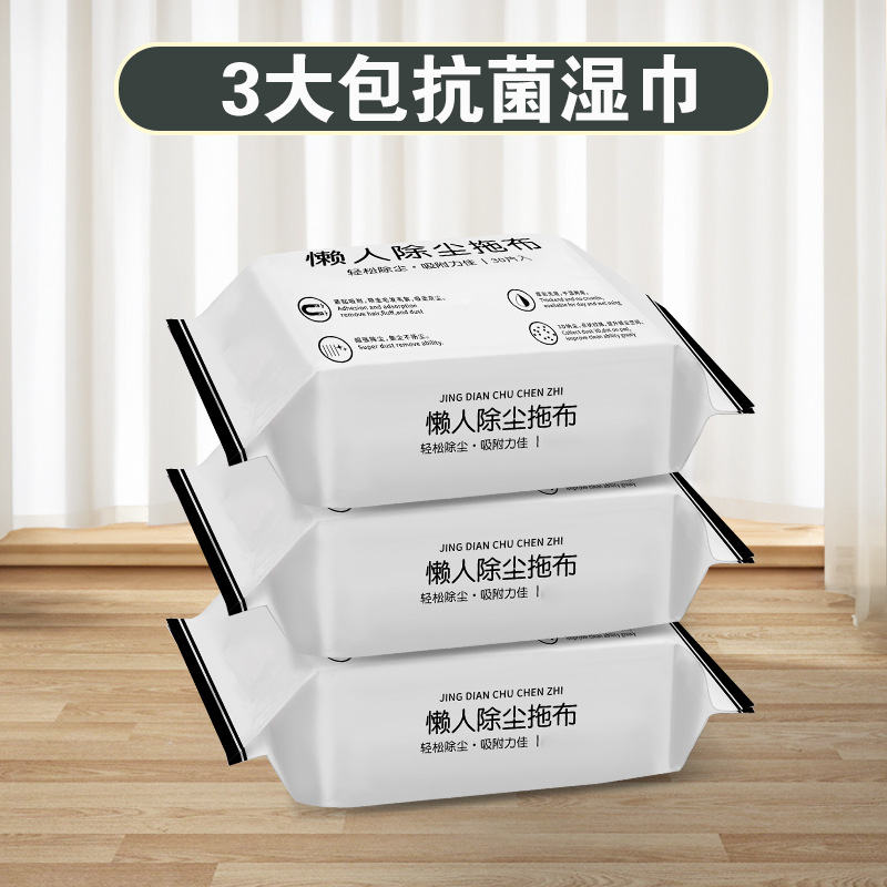 리필: 항균 물티슈 대형 팩 3개