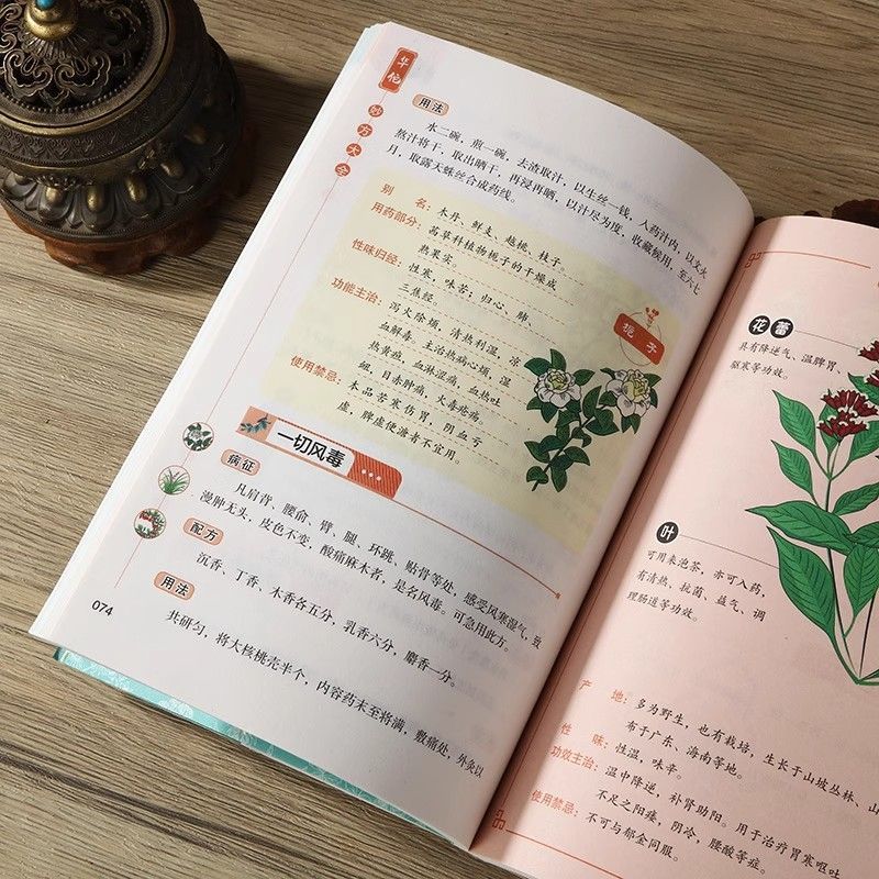 華佗の奇方、百病の本格的食事療法、中医学診断全書、一般病気、中医学古典医学全書|undefined