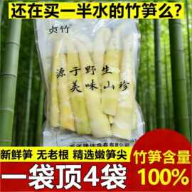 2斤装小竹笋新鲜罗汉笋江西特产餐饮蔬菜厂家直供批发春笋水煮