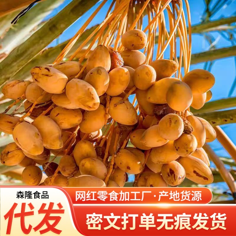 伊拉克黄金椰枣沙漠蜜枣袋装代发批发无沙迪拜沙特拉伯特产黄椰枣