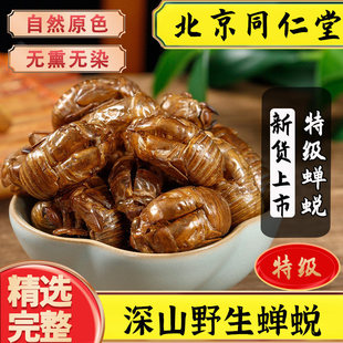 ���uҰ���s͑�s͑���s���s���sƤ�s���x��֪���s͑��Ƥ��؛��؛