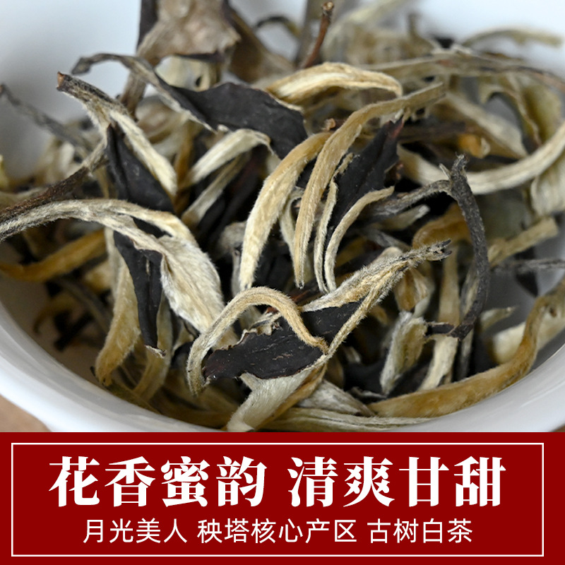 【古树月光白】月光美人大树制云南白茶批发清爽甘甜散茶500g