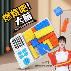 燃えよう知能電子パズル早教啓蒙経典突破対戦論理思惟知育児童玩具