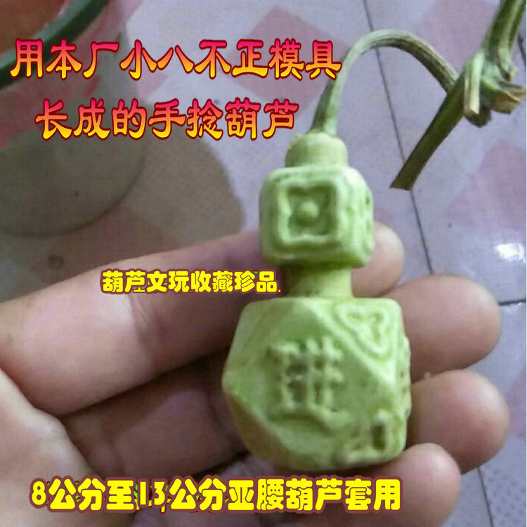 5.5公分小八不正亚腰葫芦定型范制塑料模具文玩草里金铁包金农用