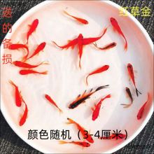 �^�p�~��ˮ�~�t���\���ͻ���B����~�ݽ��~���~��ˮ����ƿ