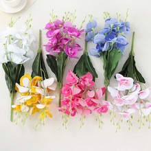 ���滨��控�~�����m�Ҿ��bٻ���c�zӰ���� �羳���N�����m