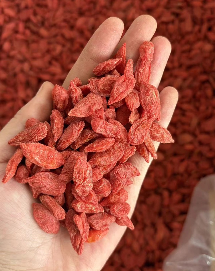 Dried Red Goji Berries Whole Sweet Chewable Fruit 500g preparation
