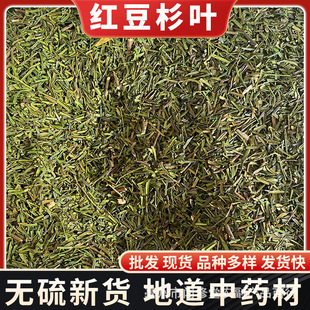 �Ϸ��t��ɼ�~��ș�����l �|���t��ɼ ��ɼ �a��؛Դ ��؛����