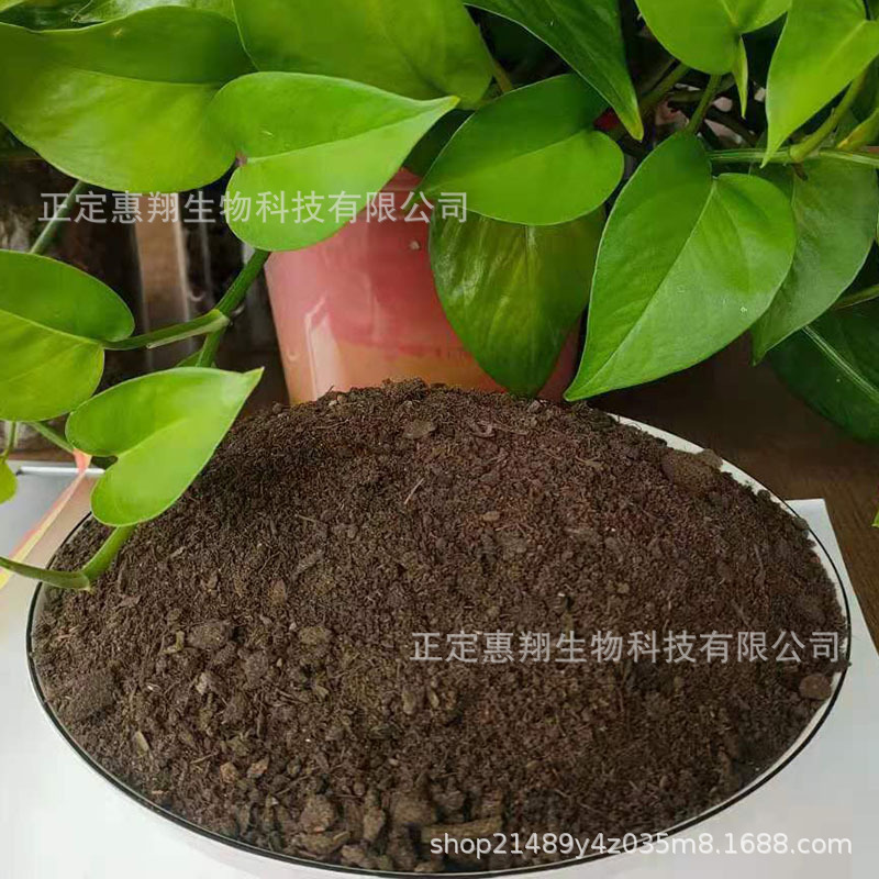 高温发酵羊粪肥料蔬菜果树种植用纯羊粪有机肥粉末状生物肥料底肥