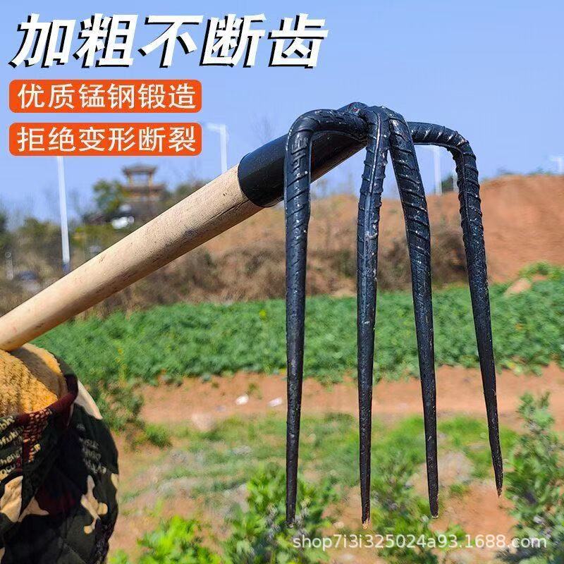 微信图片_202504031438482.jpg
