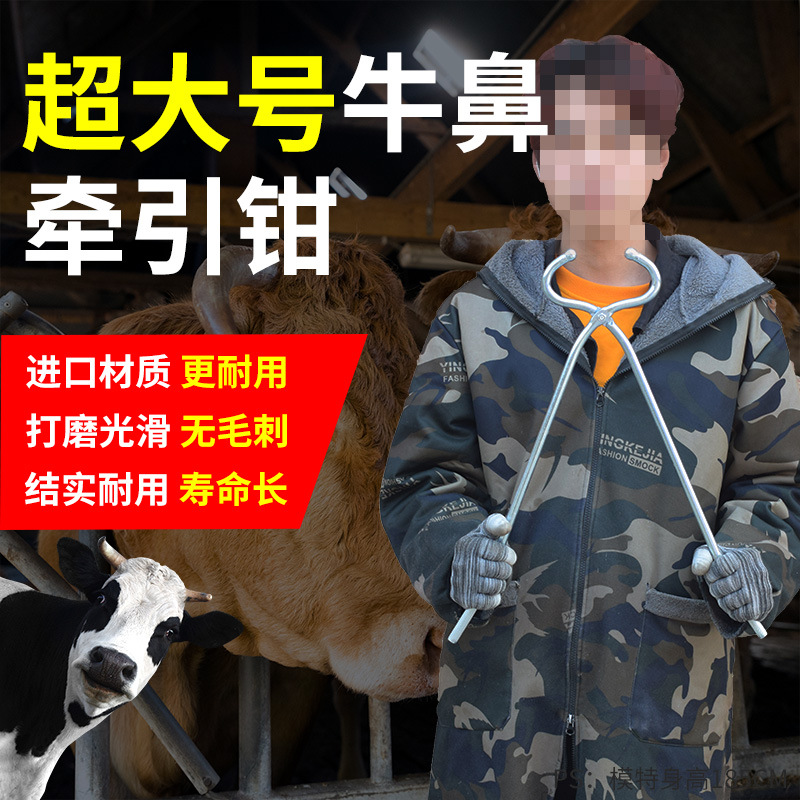 Pinzas de nariz de toro de mango largo engrosado Pinzas de nariz de toro de mango largo para animales Pinzas de nariz de toro de fijación de toro de unión Pinzas de nariz de toro de tracción Perfusión de inyección