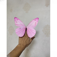 �赸����ָ�h��������赸ů�����ߺ�����ָ�����Ŀ������ָ��