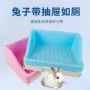 厕所兔子宠物兔尿盆