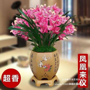 �����ذl؛�����B������m�������Ԏ��������mī�m�������҃��m��