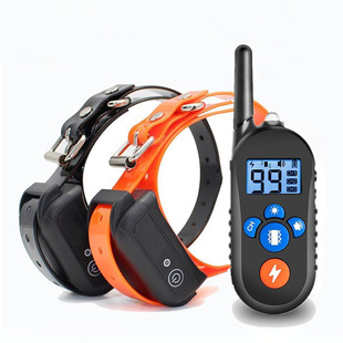 Ӗ����ֹ����800m�b��늓����Ӿ��挙����Ʒ����Ȧ��ˮ һ����