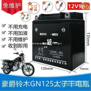Haojue Suzuki Gn Prince Hj125-8 Men's Motorcycle Maintenance-Free Battery 12V9A Dry Battery