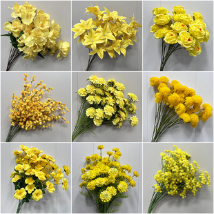 ��c���Sɫ��̨·����ӆ��Y���õ��Ż��Ҿ��bٻ��[��