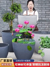 �Ӻ��ˮ���ش�̖���Ϙ�֬����ɻ�˯ɏ��״�ڏ��ŷ��B�~���B��