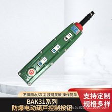 BAK31-4K防爆电动葫芦BAK31-2K/6K/8K/10K防爆控制按钮开关LA5817