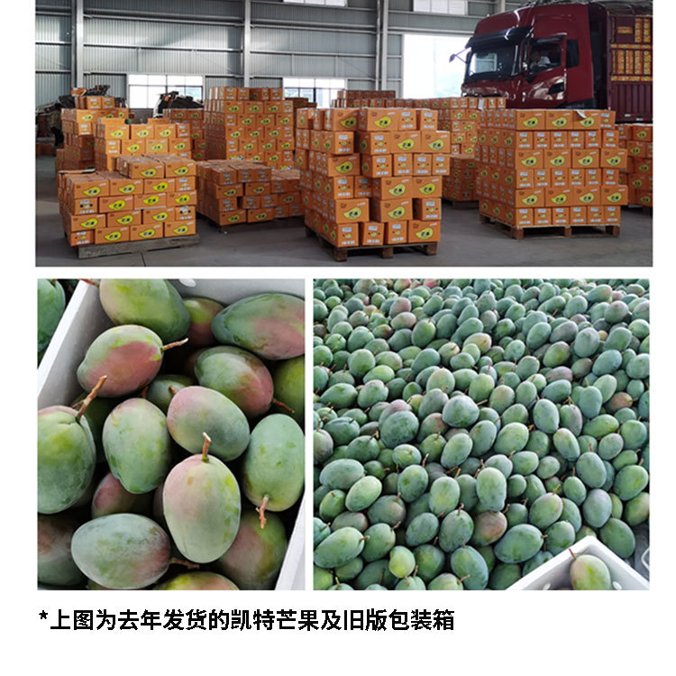 贵妃芒详情图_08