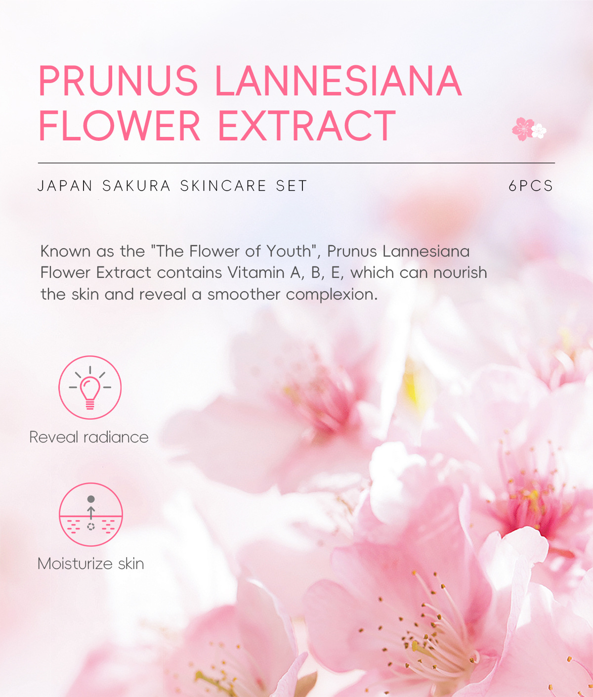 LAIKOU Cherry Blossom Skincare six-piece Set: Facial Cleanser, Essence, Eye Cream, Face Cream, Toner, sunscreen, Cross-border undefined