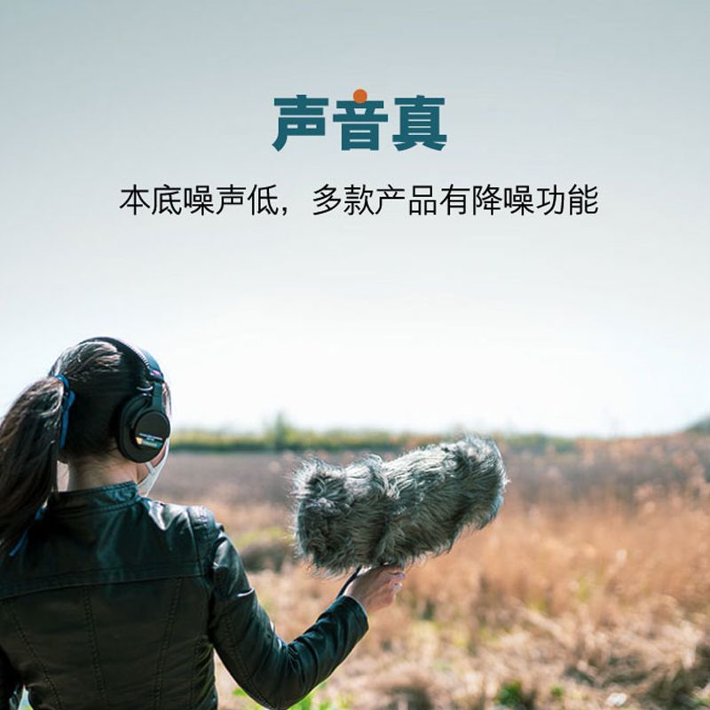 Siwanbo P8 / SP8 fuente audífono Siemens para personas mayores sordas, productos genuinos sin ruido, hospital idéntico