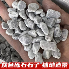 浅灰色石子户外铺地造景灰砾石水洗石工程铺路透水地坪水磨石骨料