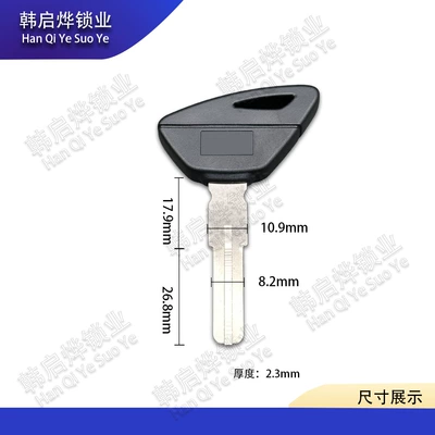 Suitable for Aprilia 1000 Rsv4 Motorcycle Key