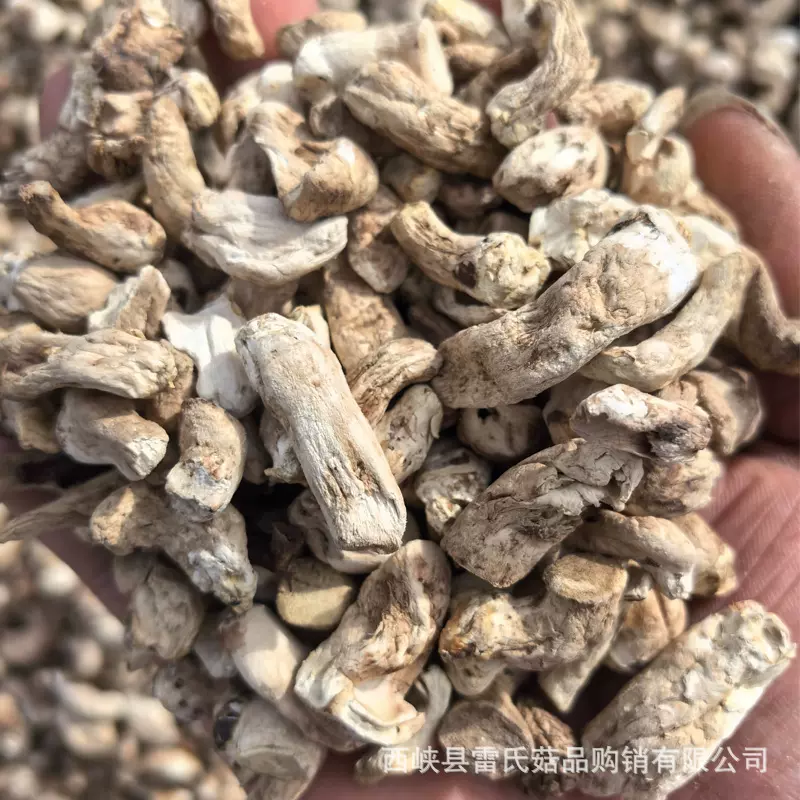 西峡冬菇单剪香菇脚香菇根腿菇柄单双剪菇脚片丁丝河南家用商用