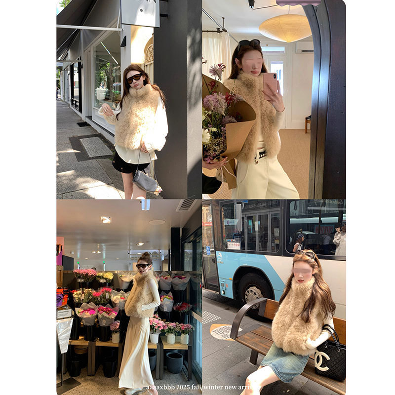Aaaaxbbb San Francisco Warm Tide Two-Color Luxury Genuine Fur Vest Goatskin Stand Collar Short Sleeveless Top for Women Aaaaxbbb San Francisco Warm Tide Two-Color Luxury Genuine Fur Vest Goatskin Stand Collar Short Sleeveless Top for Women