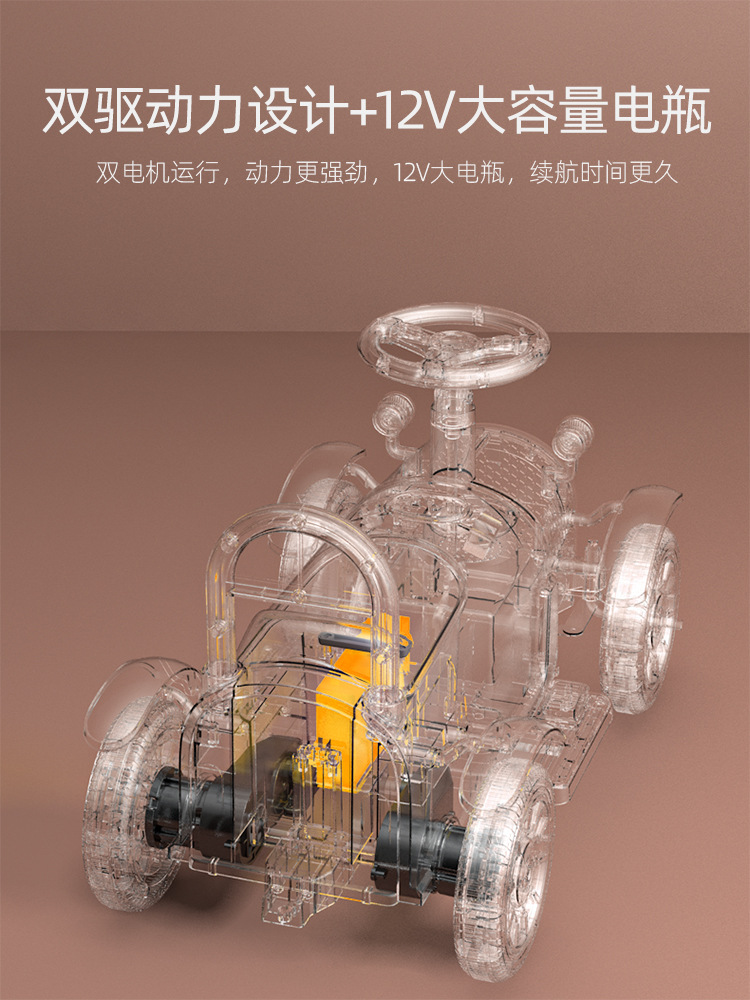 电瓶和电极